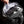 COYWOLF 28 HYBRID TRAVEL BACKPACK
